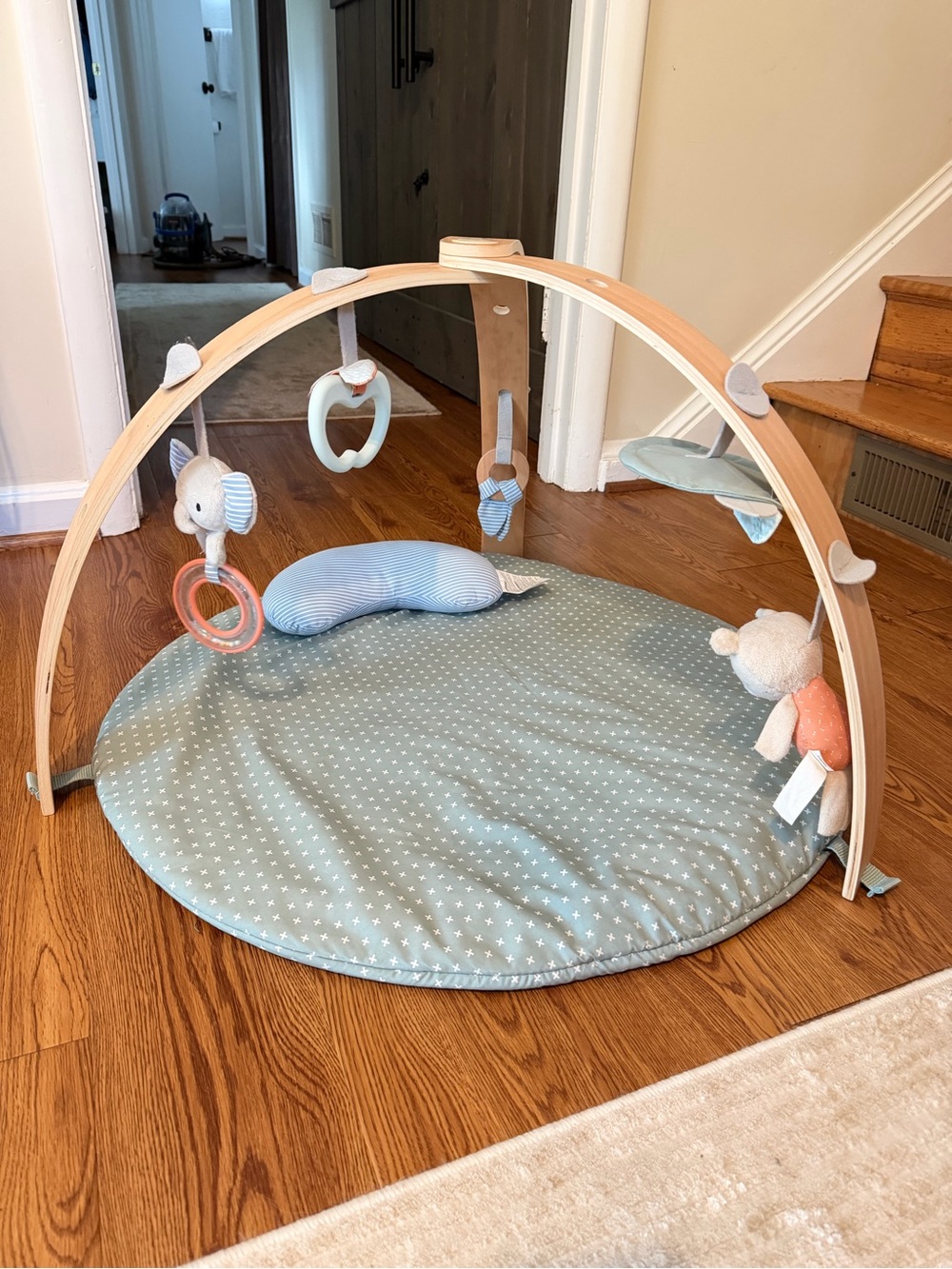 Ingenuity Baby Play Gym Mat with Soft Hanging Toys - Blue